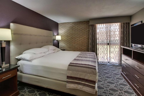 Drury Plaza Hotel San Antonio Airport image 18