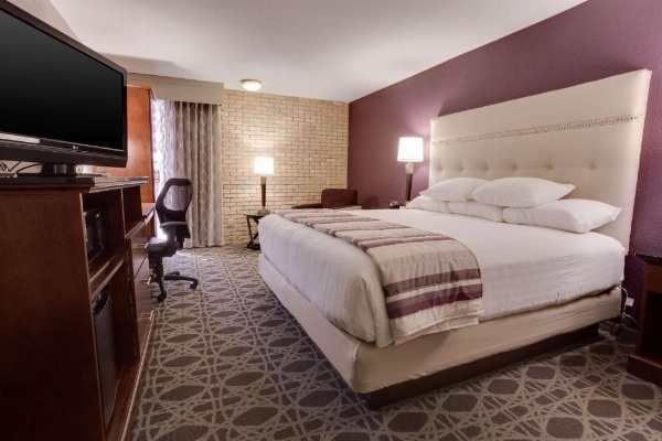 Drury Plaza Hotel San Antonio Airport image 24