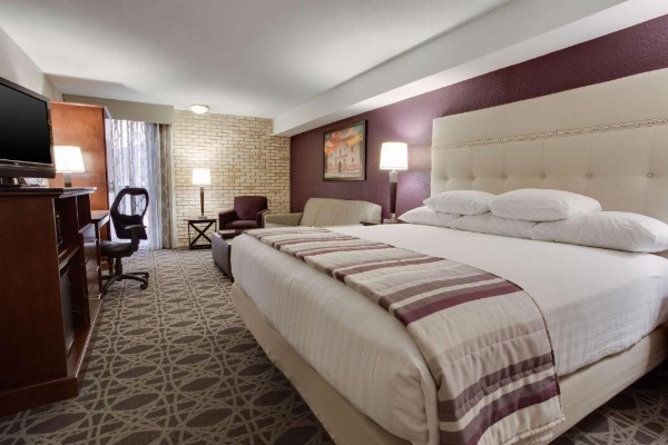 Drury Plaza Hotel San Antonio Airport image 27